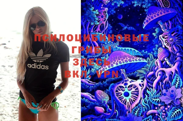 бошки Богданович