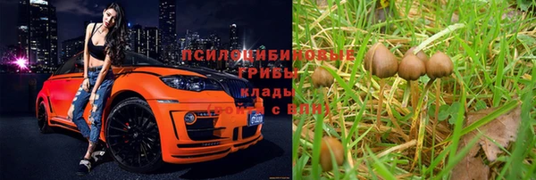 бошки Богданович