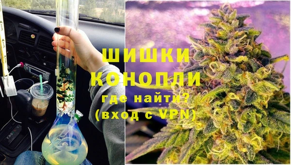 бошки Богданович