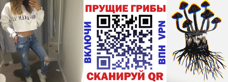 где найти Малмыж Псилоцибиновые грибы Magic Shrooms